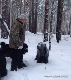 Adam Racy Style BERENIS